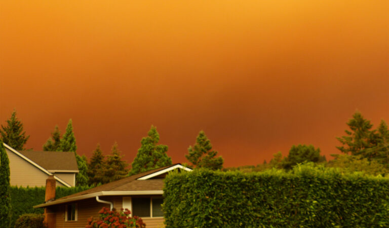 Orange smokey sky, appearing to be the aftermath of a wildfire.