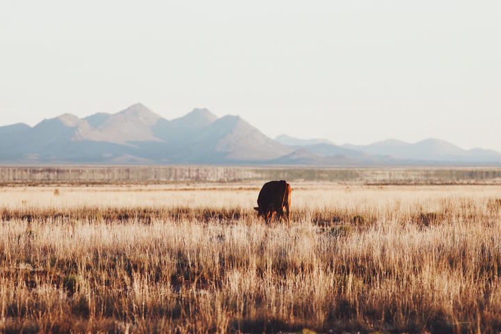 A Road Trip Through America's Southwest