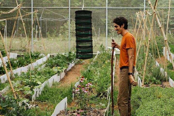 An Insider Guide to Puerto Rico’s Farm-to-Fork Scene