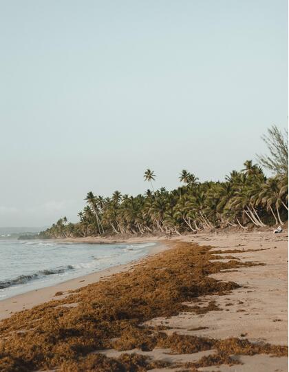 A beach near Rincon, Puerto Rico