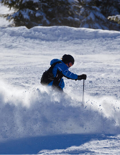 A cross-country skier