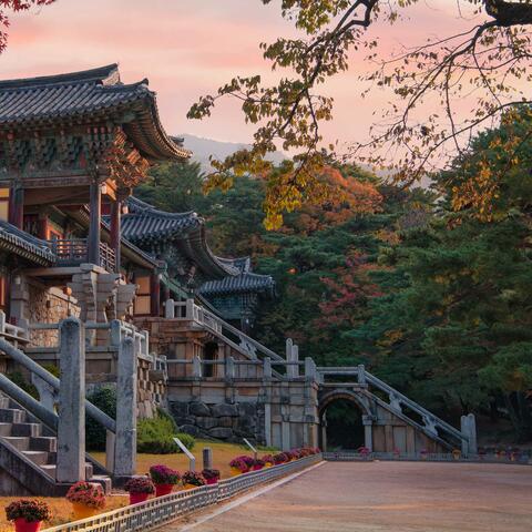 Korean temple in autumn