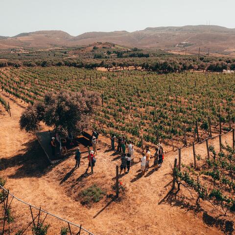 Lyrarakis Estate, Crete