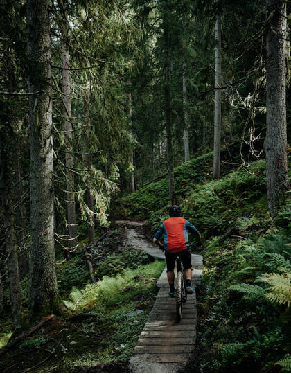 Leogang Nature Park, Austria