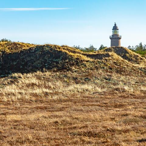 Thy Lighthouse