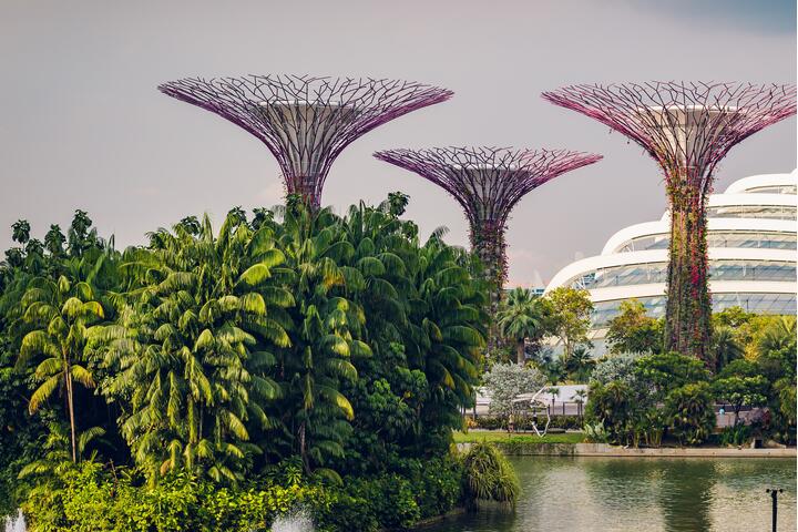 Go Green: Seven of the Best Parks and Gardens in Singapore