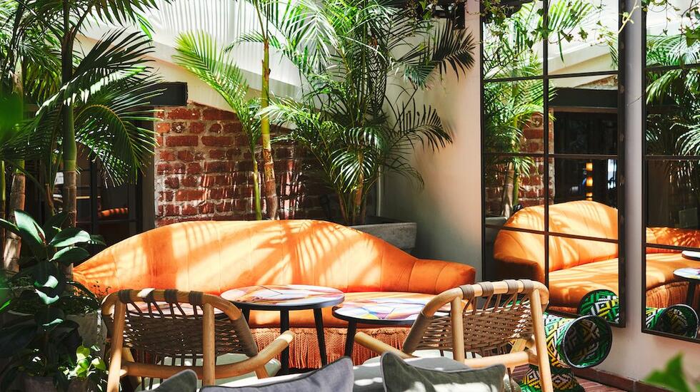 An orange sofa surrounded by plants and mirrors