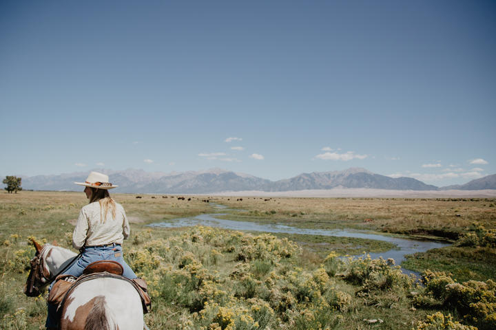 Holidays on Horseback: The Best Equine Retreats Around the World