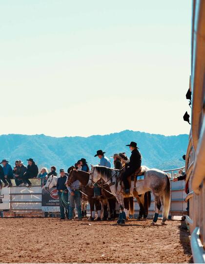 Modern cowgirl, Arizona, USA