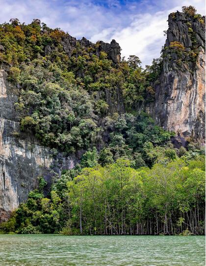 Forest Park, Langkawi, Malaysia