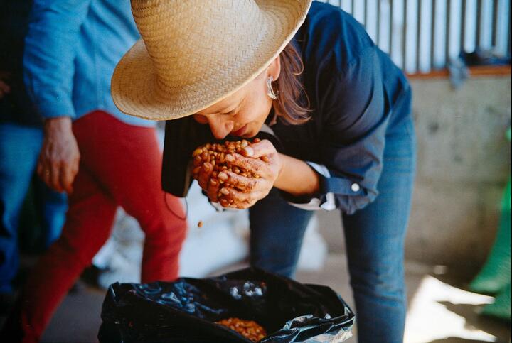 women sniffing beans