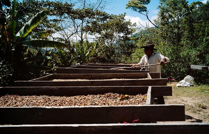 Nicaragua man farming