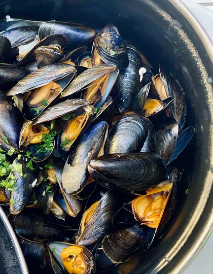 Mussels, Pot