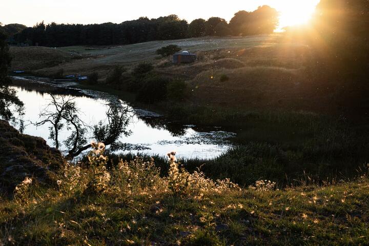 Strange Isolation: Road-Tripping Through Northumberland’s Near Wilderness