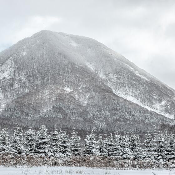 Niseko, Japan