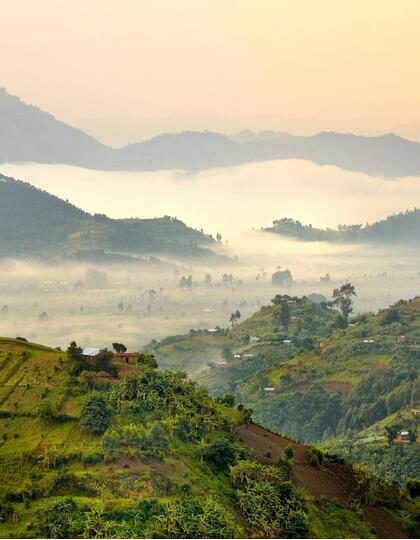 Virunga Volcano Park, Rwanda