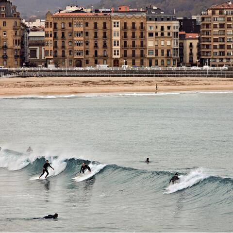 Surfers at sea with buildings in the background