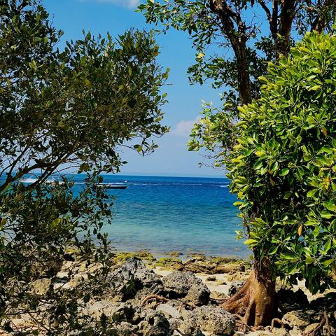 Havelock Island, India