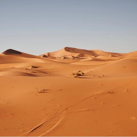 Oman Desert